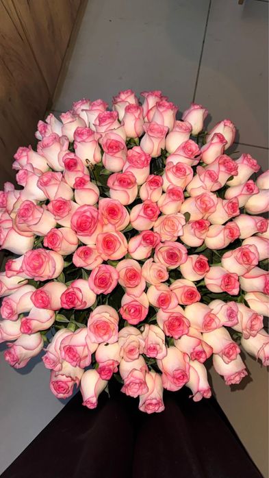 свежие 101 розы, продам за 25к