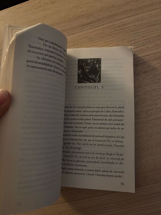 Pisicile războinice, vol. 2 – Foc și gheață, Erin Hunter