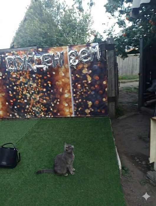 Дача  "Рассвет" ( " Тимерязево" ) 2 линия