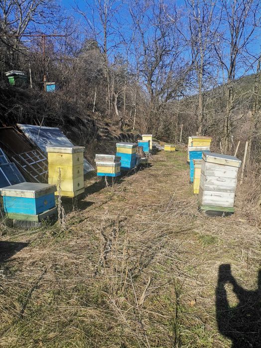 преносни сандъчета за пчелин и пчелни многокорпусни кошери