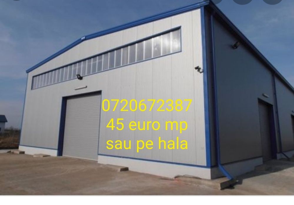 Vindem hale metalice fără avans