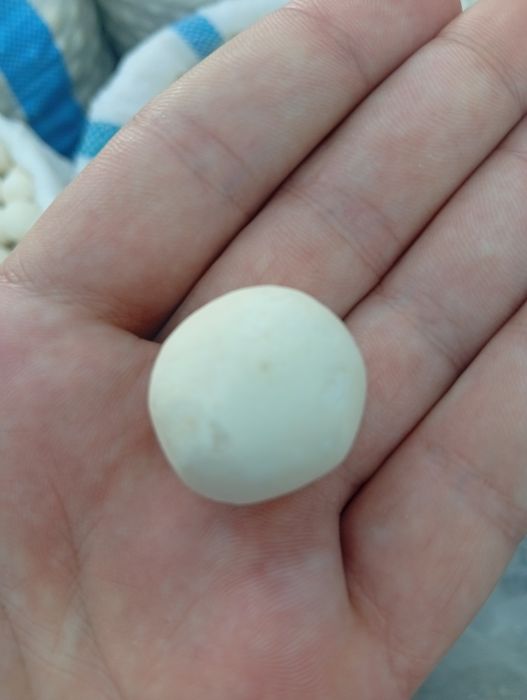 Qurut Bor Optim Toza chisti Qurut