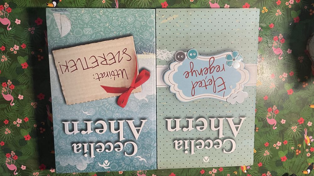 Cecelia Aherin regénye