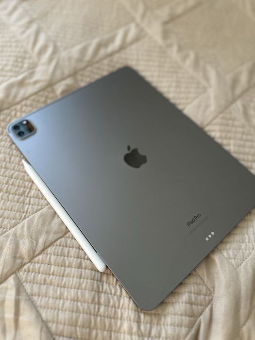 Ipad pro 12.9 256gb