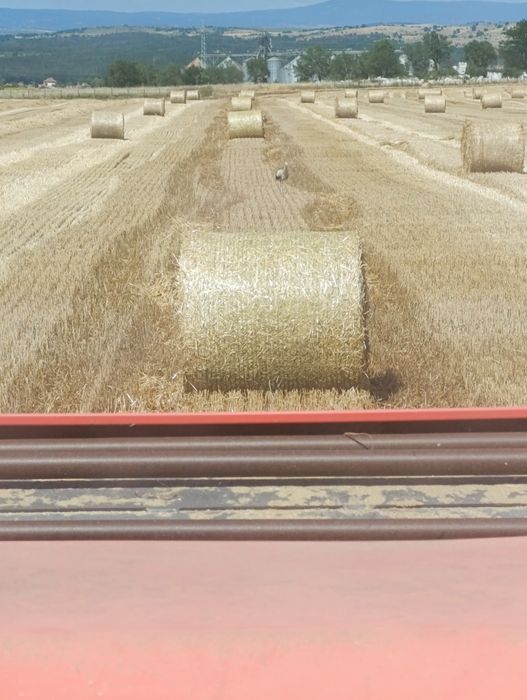 Предлагам бали сено,слама и люцерна