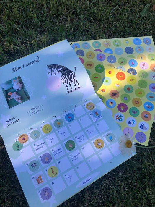 Календарь альбом со стикерами «Мой первый год»