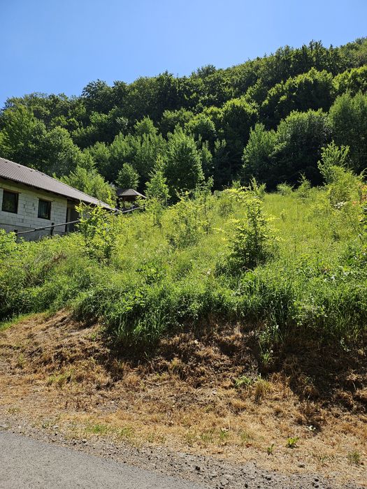 Teren intravilan Sovata Bai 3533 mp