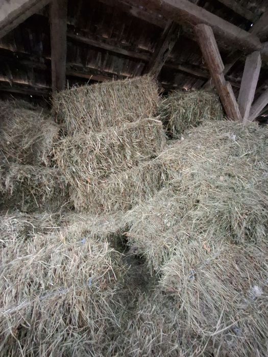 Baloti  de otava si lucerna