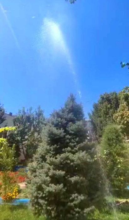 Ховли сотилади  6 хона  7 соти СУВ БУЙИДА Яшашга  Бизнесга ! Чирчик ш.