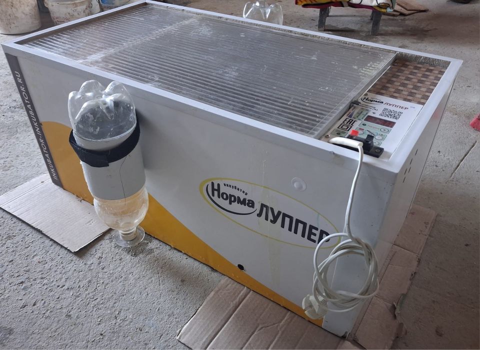 Инкубатор норма луппер 72