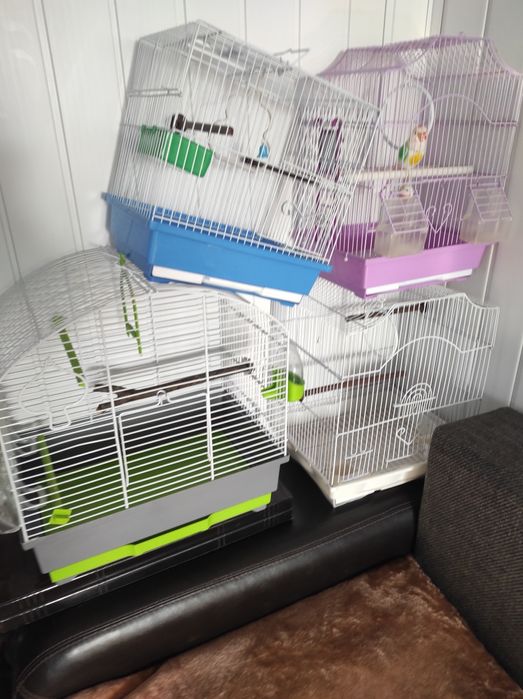 Vând cuști șinșila