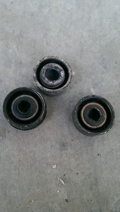 Уплотняющая манжета(сальник).Других нет.