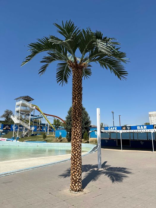 Sun’iy palma daraxtlari | ECO PALMA | 30% chegirma