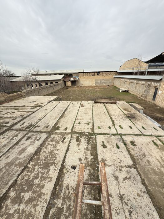 Назврбек Харакатда 8 сотих ер сотилади