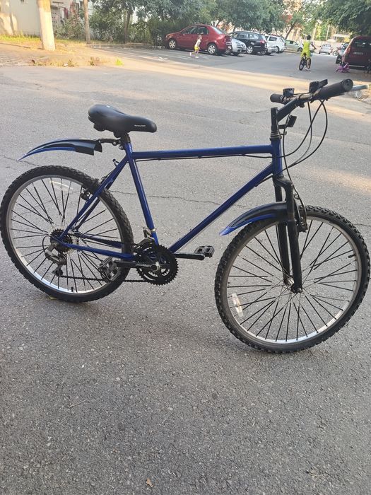 Bicicleta adult i