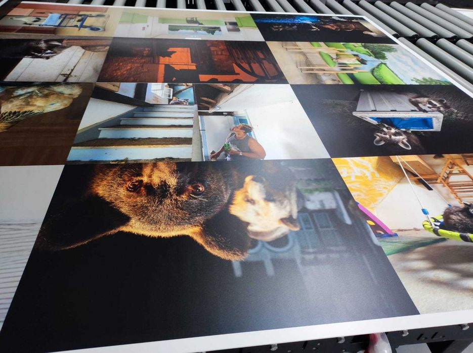 Tipar offset, tipar digital, tiparituri