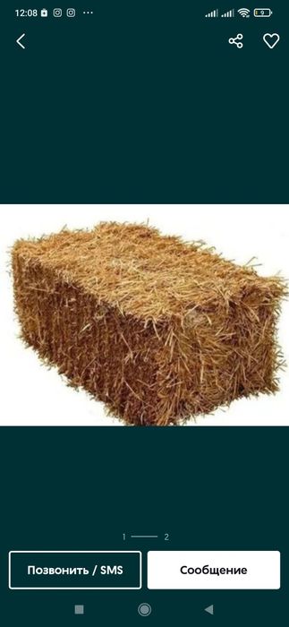 Beda va Somon (beda 55000 Somon 40000)