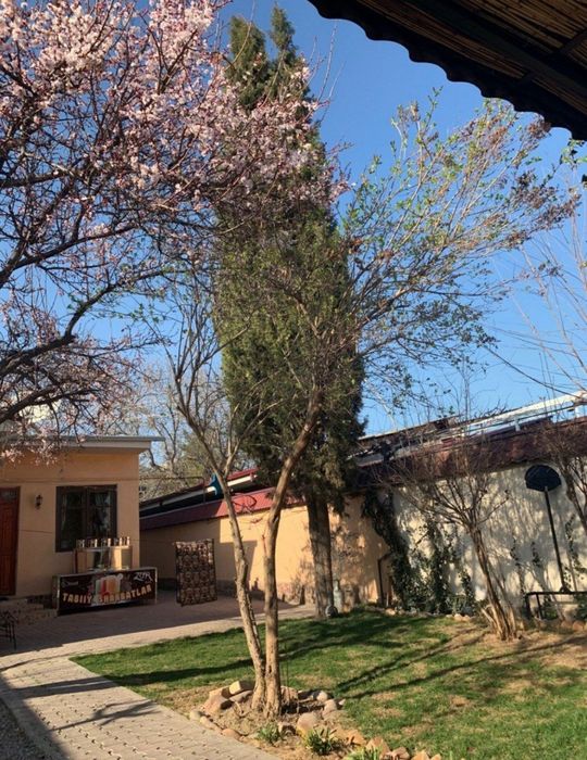 5 ком Цалковский аренда Участок срочно