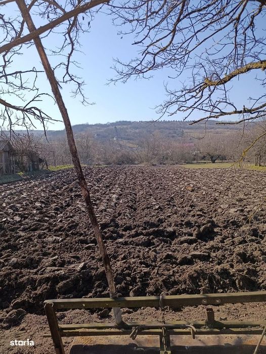 Teren intravilan de vânzare – Cadru natural deosebit | Borșa, Cluj