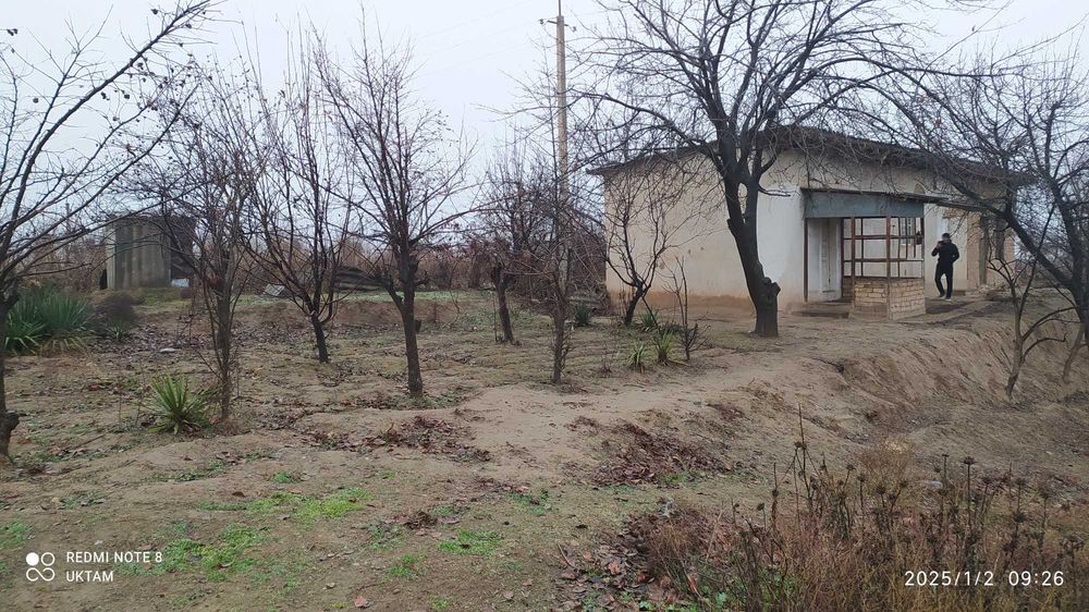 Hovli sotiladi, Denov tumanida O'rta qishloq