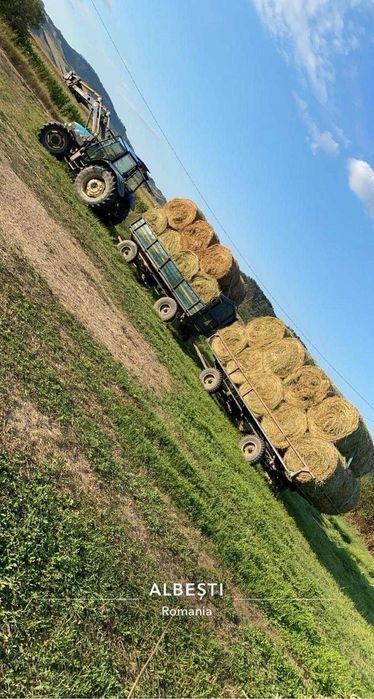 Baloti lucerna si lucerna infoliata