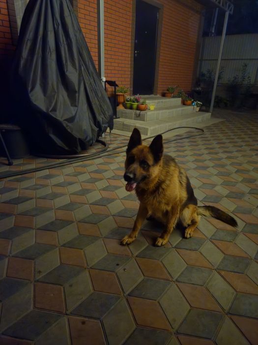 Кабель ищет подругу