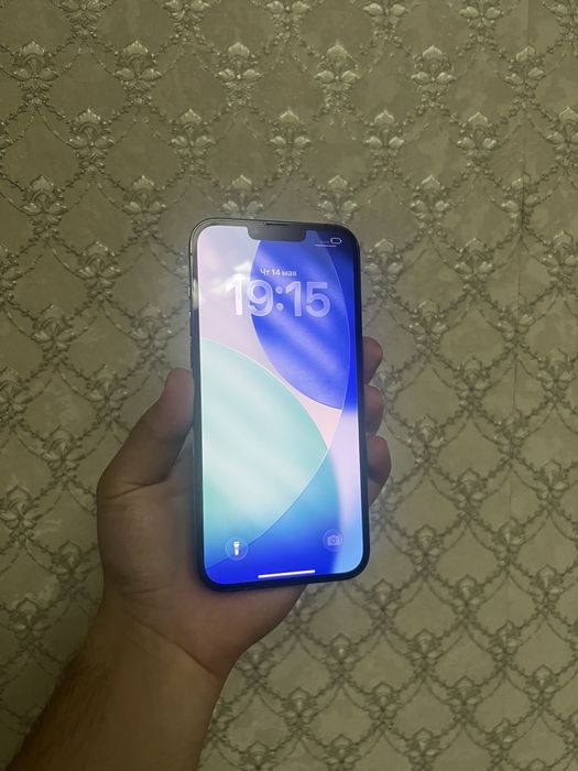 iPhone 13 pro max