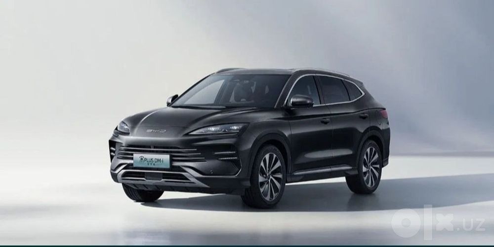 BYD Akumulyator Аккумулятор  Akumlyator BYD chempion