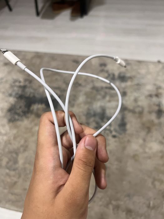 Original iphone zaryadka