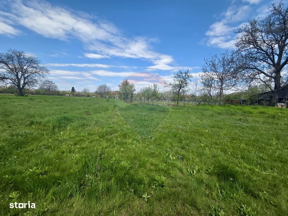 Teren intravilan 4.733 mp - Drajna de Jos, Prahova