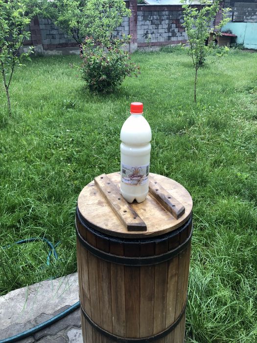 Натуральный кумыс и шубат
