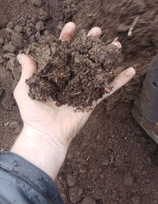 Перегной с доставкой