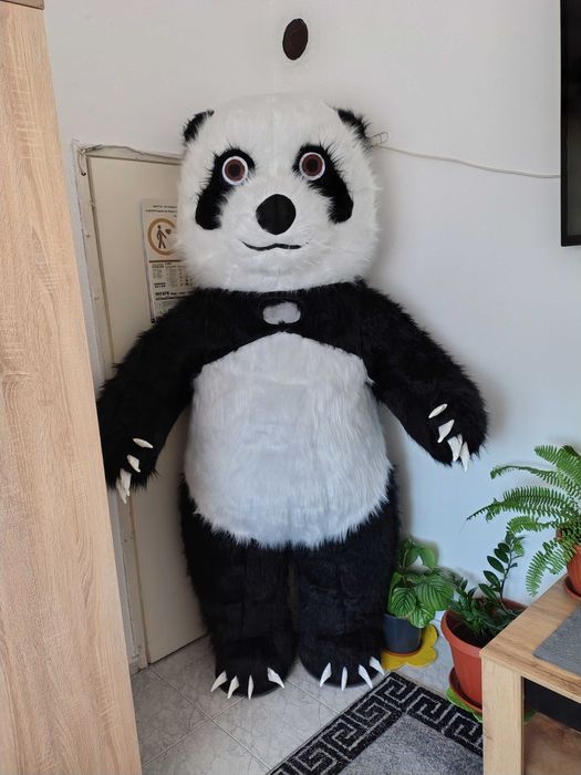 Бяла мечка  и Панда за изненада Шумен