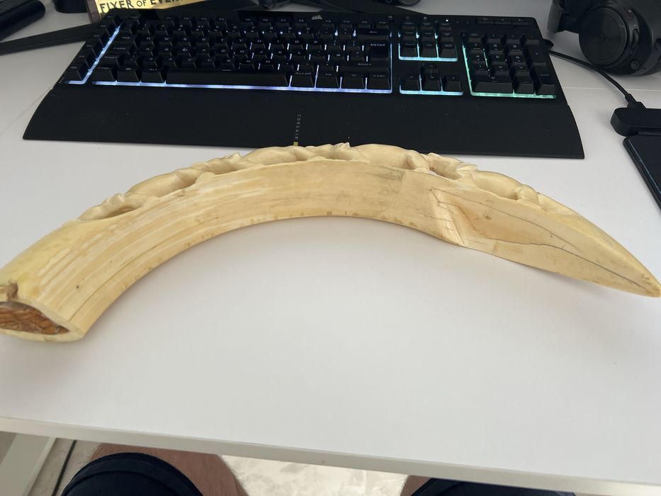 Colt de elefant scluptat