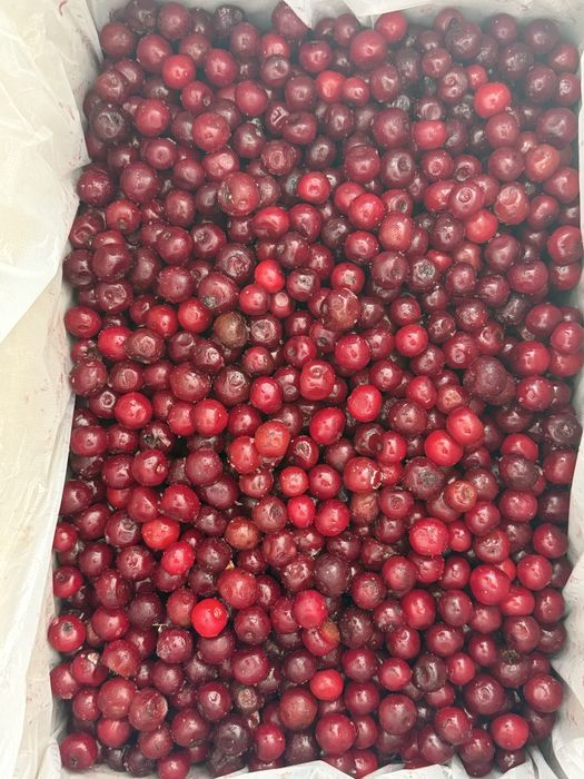 замороженная клюква