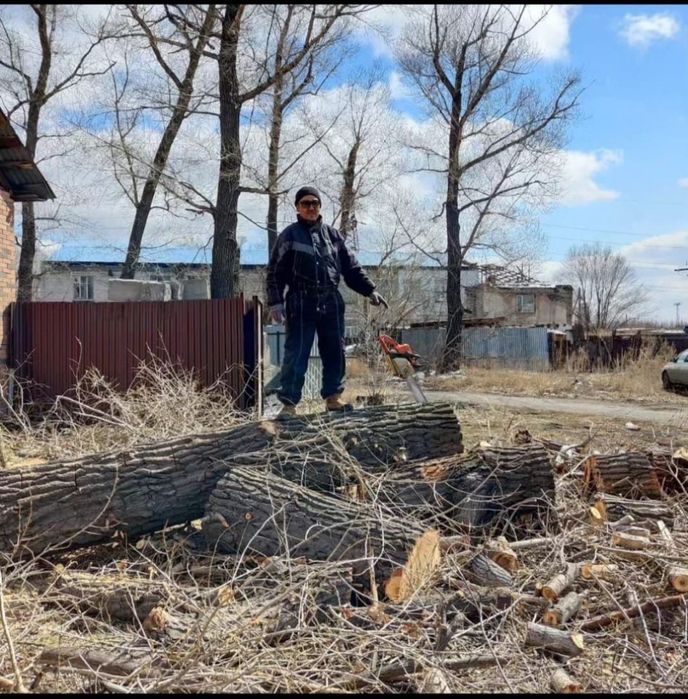 Уберу опасные деревья