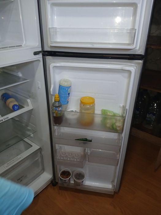 Haladennik халаденник holati ala