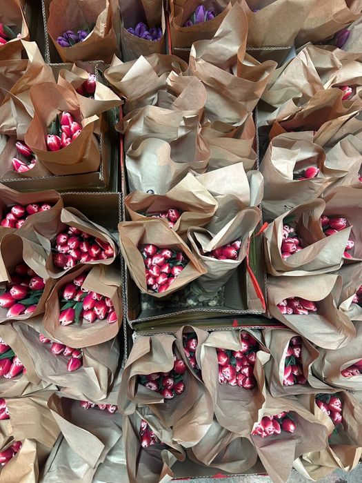 Тюльпаны по 400