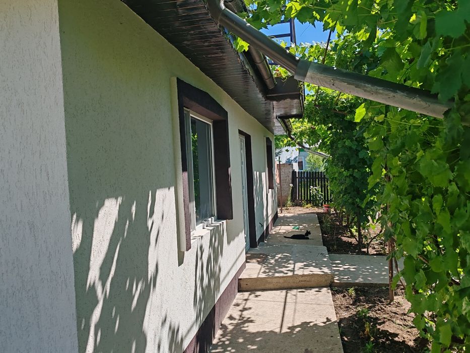 Casa de vinzare com. Gemenele jud. Braila