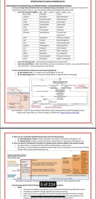 Anatomie, medicina, fiziologie - Sistemul Endocrin, Farmacologie