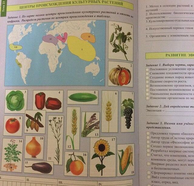 Биология.9 класс