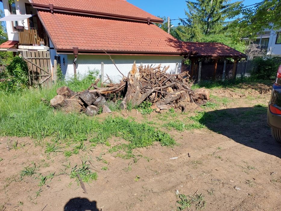 Продавам Дърва за огрев