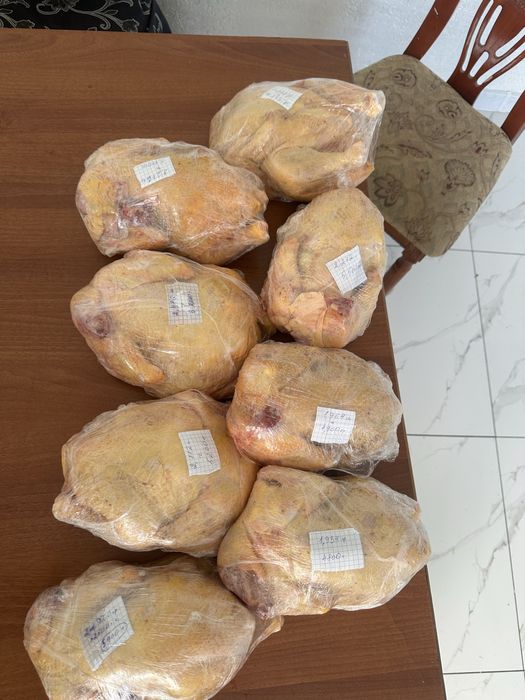 Бройлер  цыплята