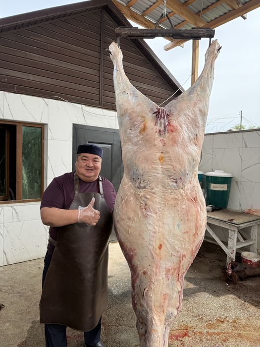 Сиыр еті говядина