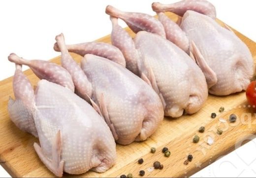 Бөдененің еті ( перепелиное мясо)