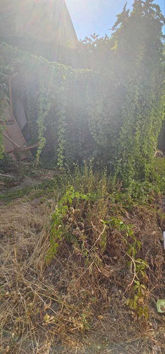 Срочно Чилонзор,Домбрабод махаллада ховли сотилади.