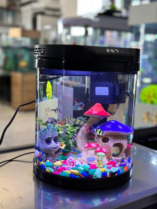 Akvarium Xitoy 11 litr