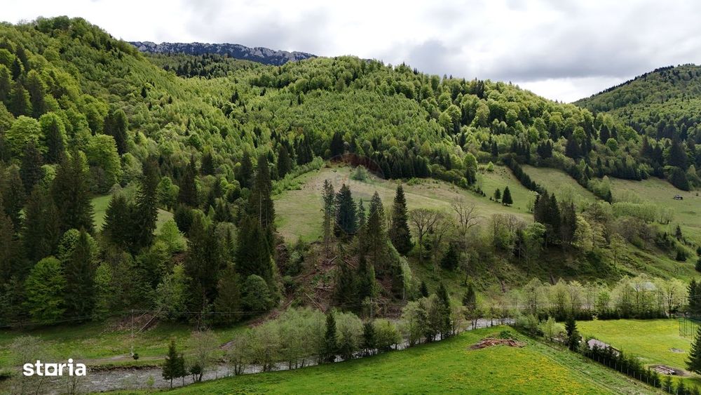 Extravilan + Intravilan | Sătic-Rucăr | Cadru natural | Turistic