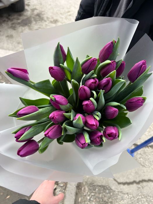 Продажа тюльпанов оптом и в розницу