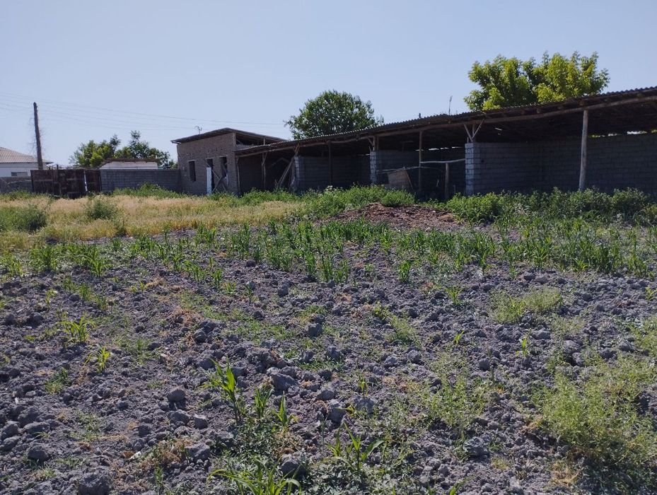 16 sotik 2 honali uy xamda navest